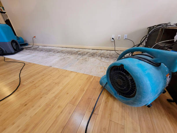 Professional Water Removal technician working in Fieldton, TX